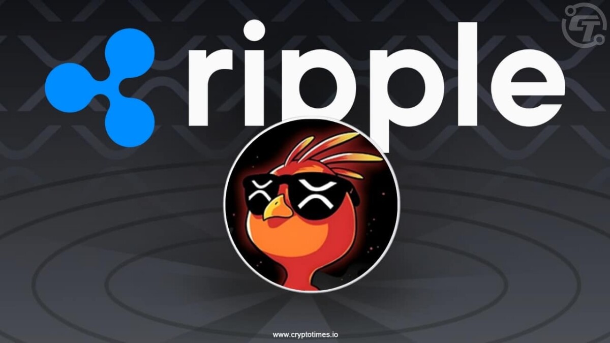 PHNIX Token Surges 47% After Ripple CTO Changes X Profile