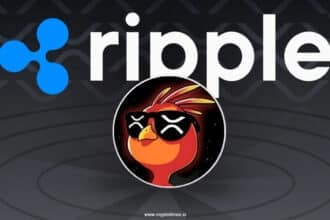 Phnix Token Surges 47% After Ripple Cto Changes X Profile