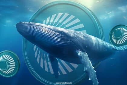 Whales Eye Plasma’s Xpl Token A Day After Its Launch