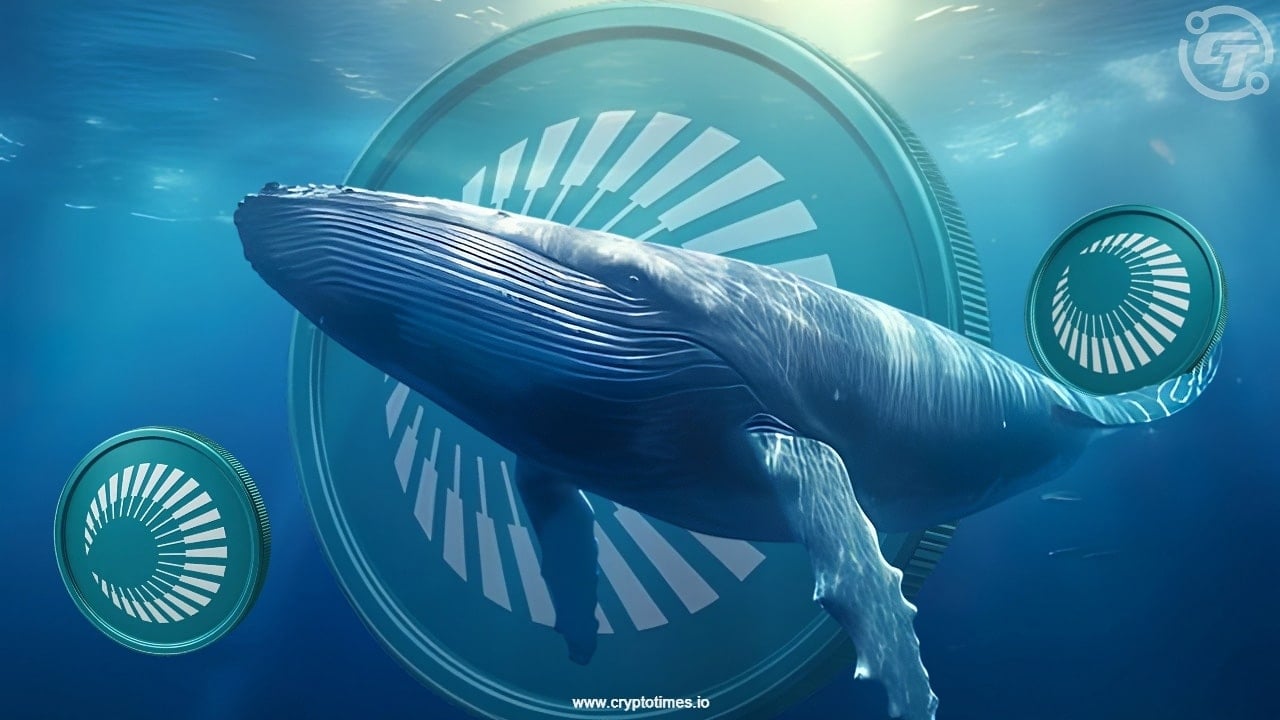 Whales Eye Plasma’s Xpl Token A Day After Its Launch