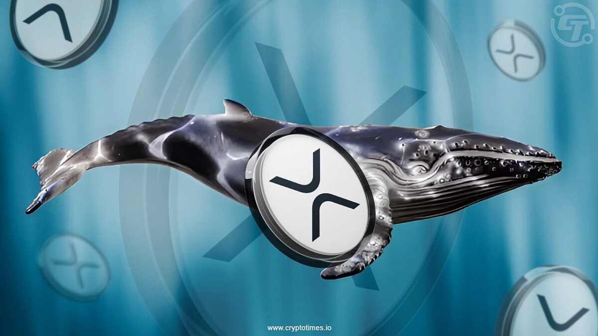 XRP Whale Accumulates 51,179,418 XRP Worth $142M