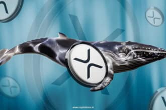Xrp Whale Accumulates 51,179,418 Xrp Worth $142M