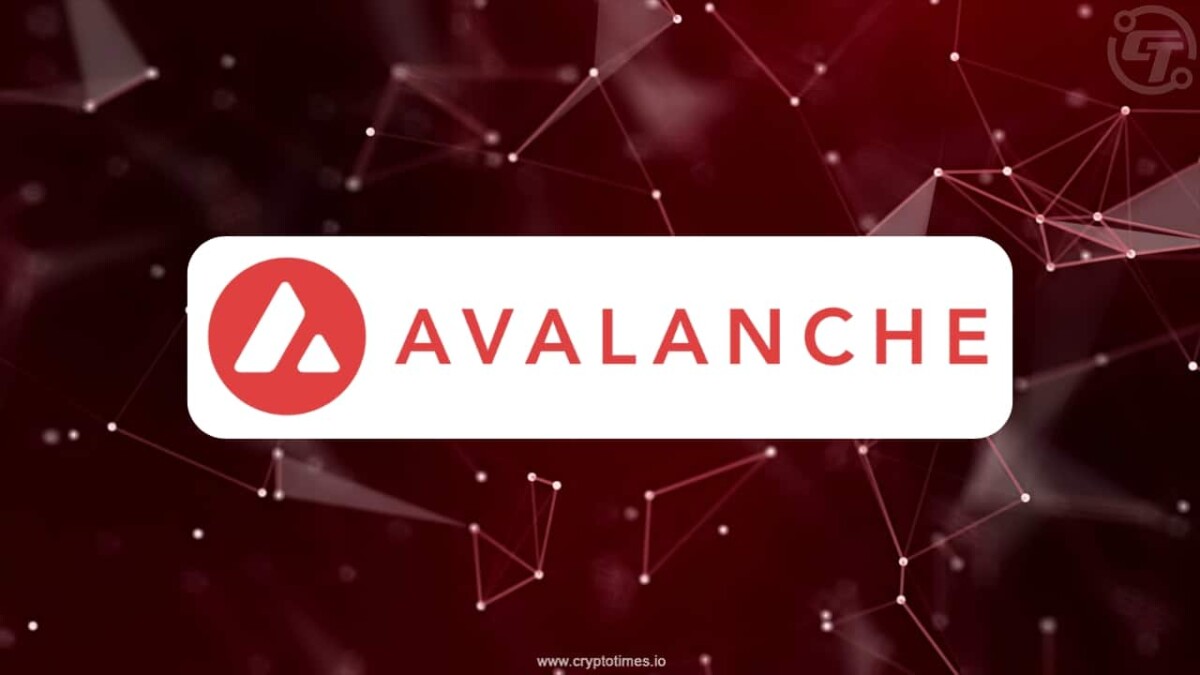 Avalanche Smart Contracts Triple in One Year