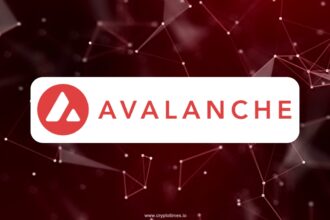 Avalanche Smart Contracts Triple In One Year