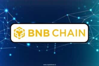 Bnb Chain Tops Blockchain Fees Amid Trading Boom