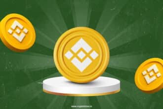 Bnb Hits New High Of $1,112 As Millions In Short Positions Liquidated