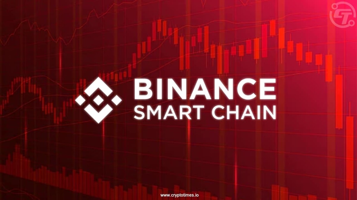 BSC Trading Bot Volumes Plunge After Peak Week