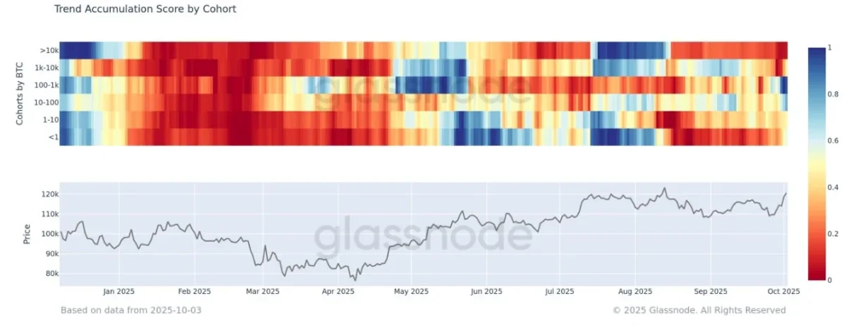 Btc Trend Accumulation Score