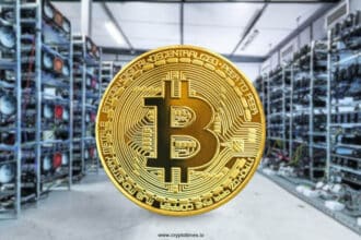 Bitcoin Miners Hit $56B Market Cap Despite Falling Margins
