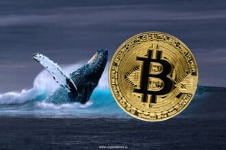 Bitcoin Whale'S $420M Short Position Sparks Market Buzz