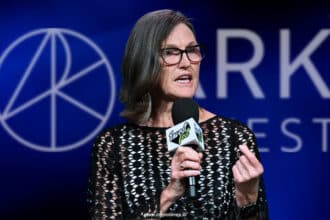 Cathie Wood Says Stocks Thrive During Government Shutdowns