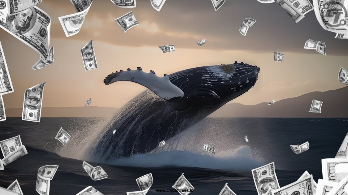 Whale Cashes Out $11.48M After $160M Profit in Crypto Crash