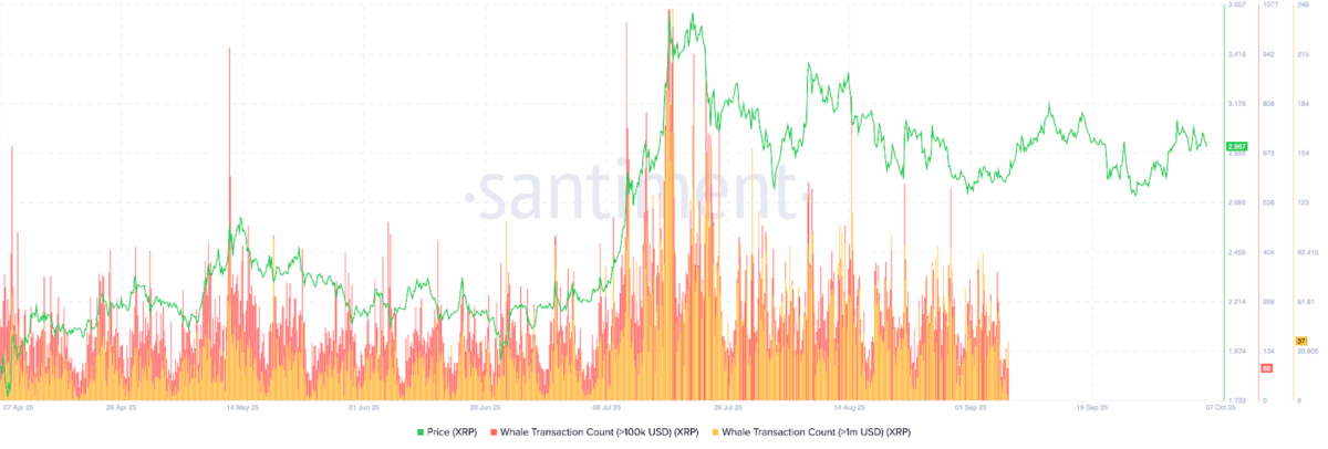 XRP Whale Activity Slowed