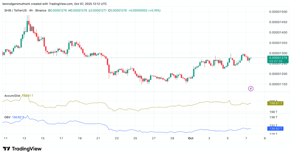 Shib Price Pushes Upwards
