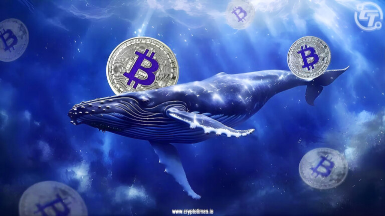 Hyperliquid Whale Nets $24M on Bitcoin Short, Gains $9M in Funding