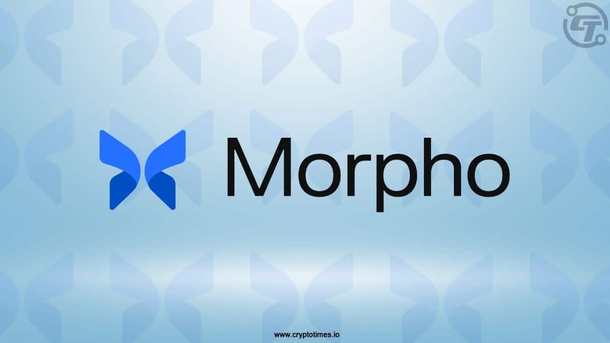 Morpho Launches GraphQL API for Real-Time DeFi Data