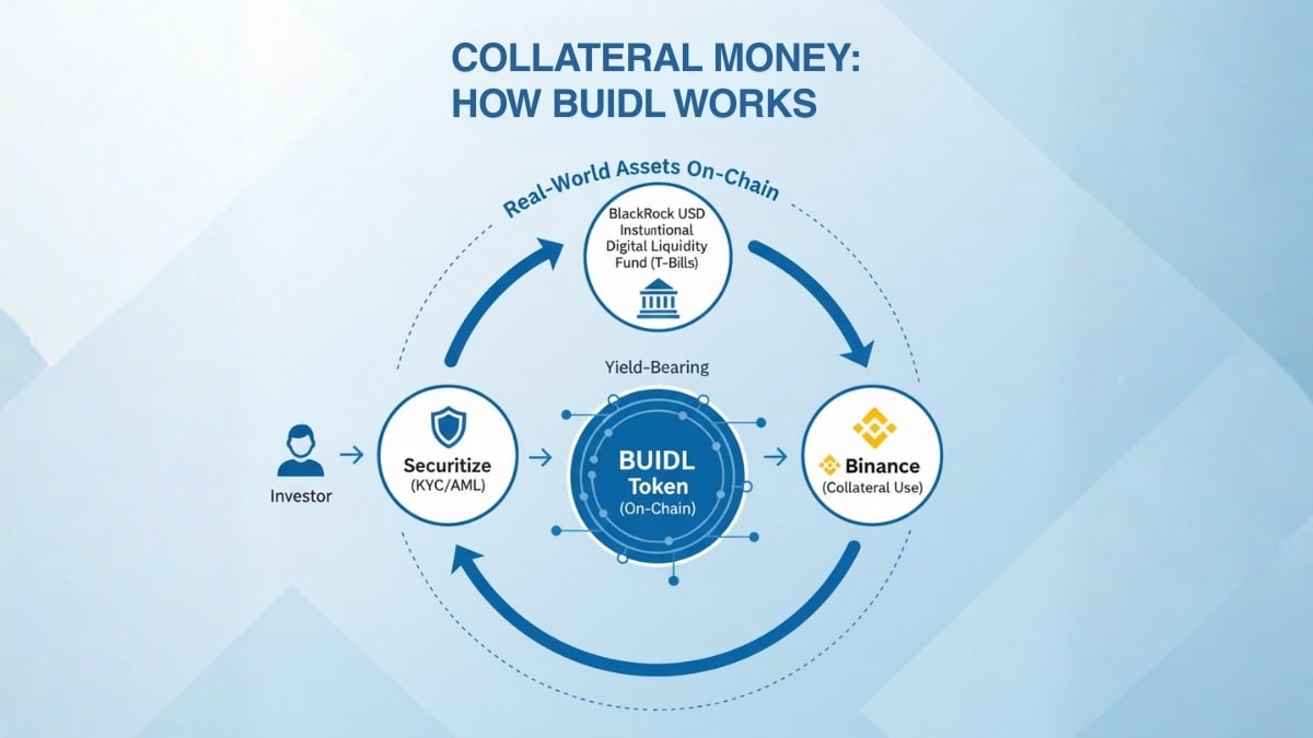 how buidl works
