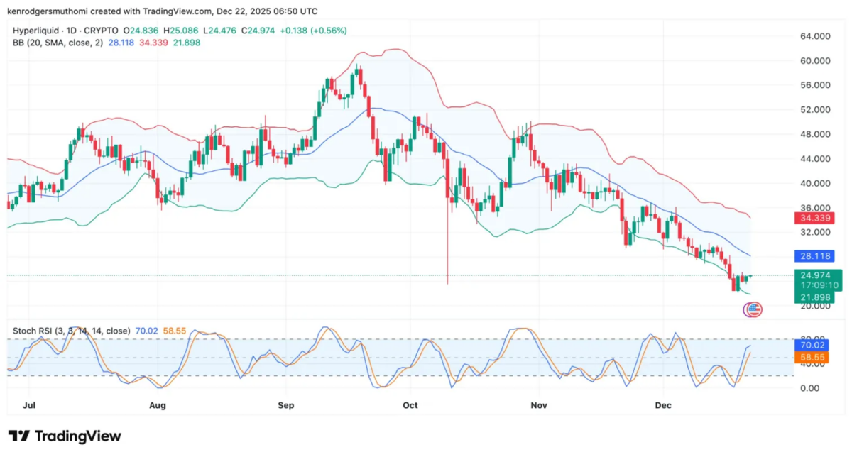 HYPE 1-day chart