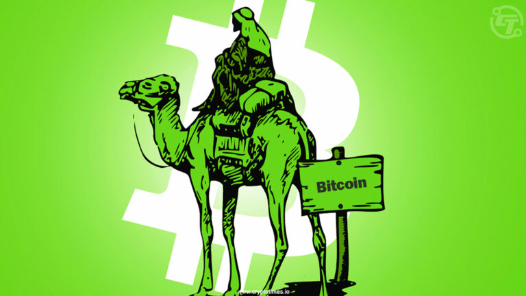 Silk Road Bitcoin Wallets Move After 13 Years of Dormancy