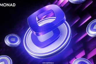 Beginner's Guide to Monad (MON)