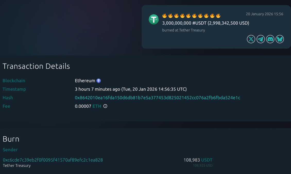 Details of the Burned token