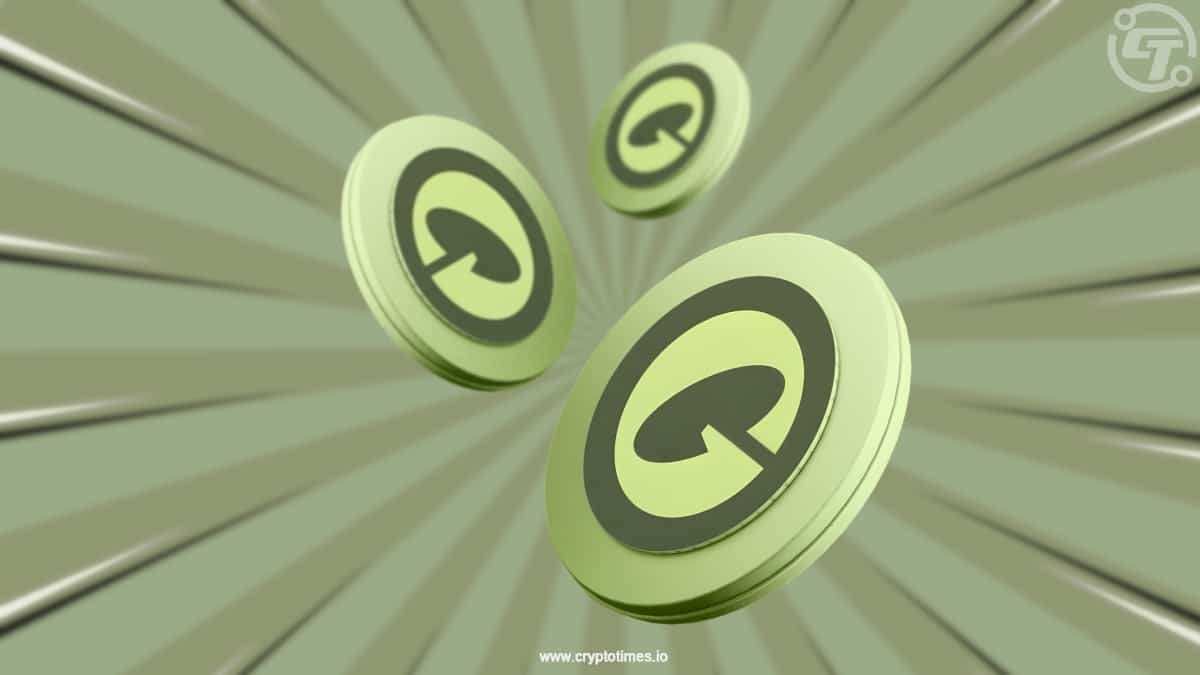 Paxos USDG Rises to Join Top Stablecoins But Who Are the Users