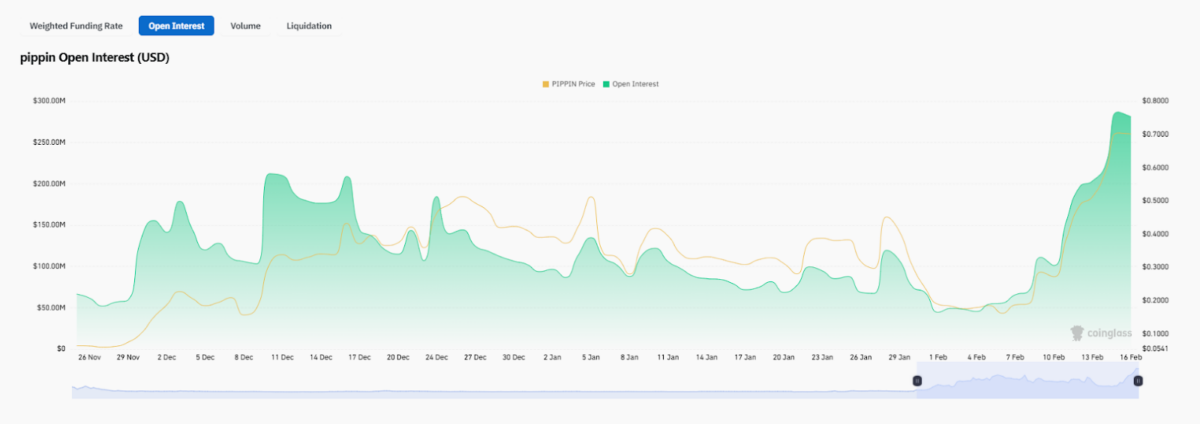 PIPPIN Open Interest