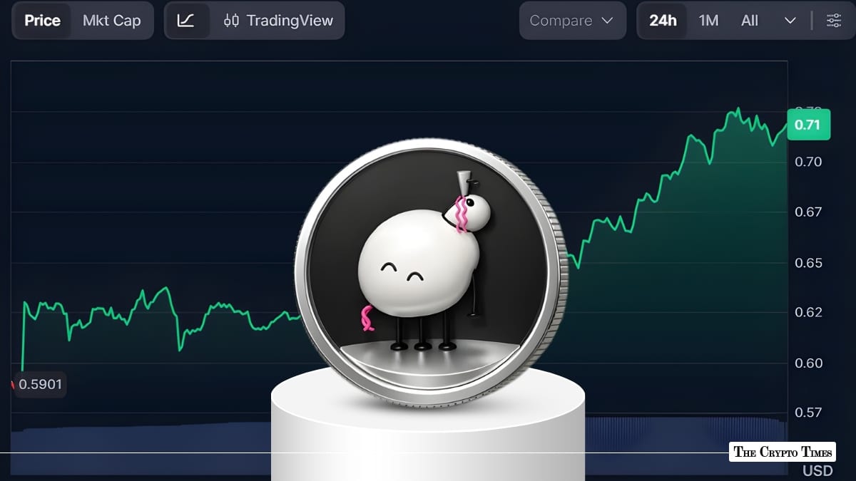 Pippin Meme Coin Rockets 21% in 24 Hours Amid Fresh Buying Frenzy