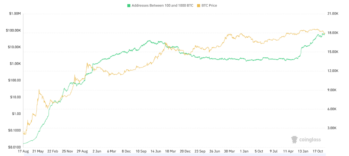 Addresses with BTC Balance Between 100 and 1000