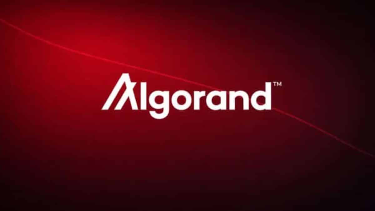 Algorand Workforce Cut by 25% as ALGO Struggles Under $0.10