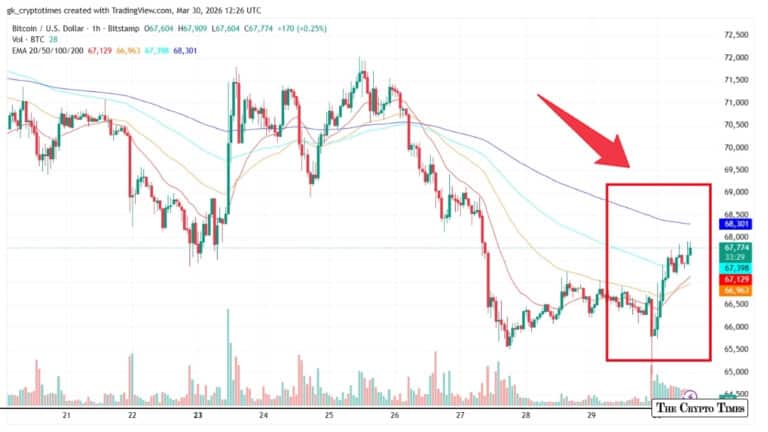 Bitcoin Faces Macro Headwinds But On-Chain Metrics Point to Silent Reaccumulation