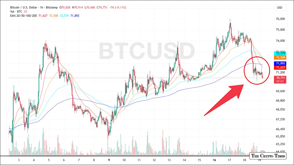 Bitcoin Holds $70K as Whale Buying Continues: ETF Flows, On-Chain Metrics Offer Glimmer of Hope