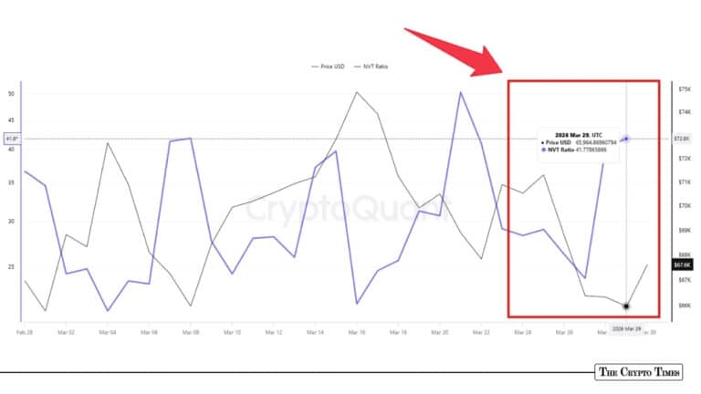 Bitcoin NVT Ratio at 43: What Network Usage Says About BTC Price