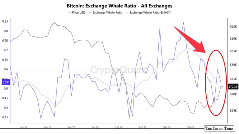 Bitcoin in Unease: Decade-High Whale Ratio Flags Selling While ETF Inflows Spike