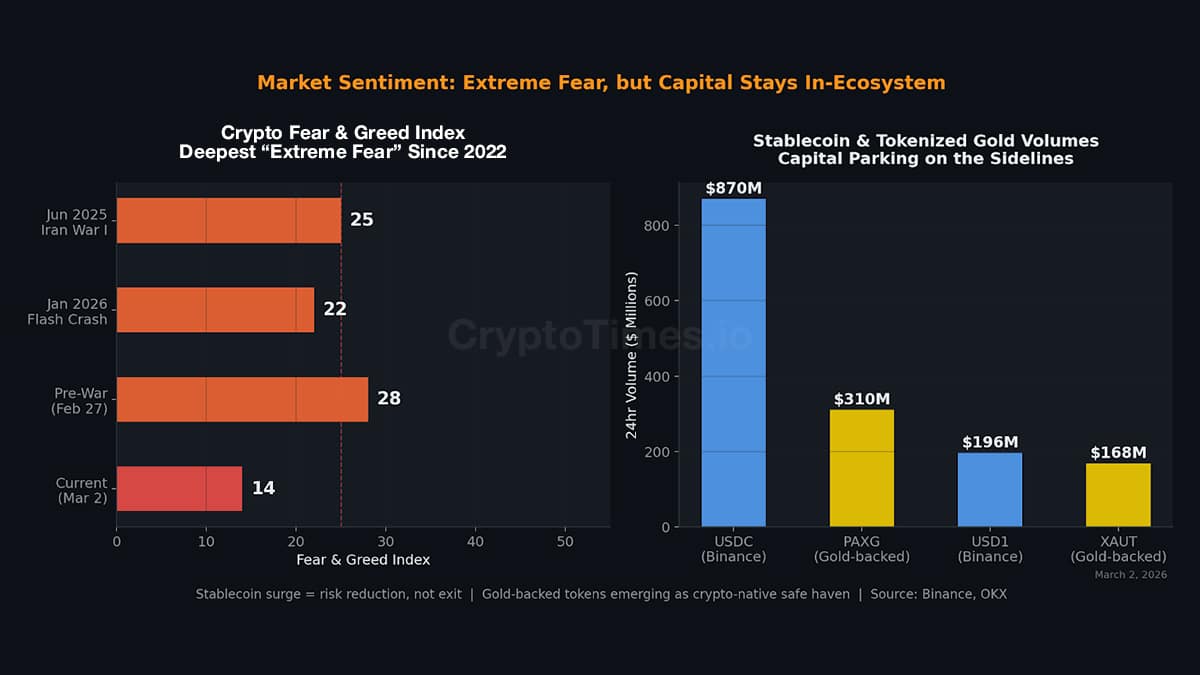 Market Sentiment: Extreme Fear, but Capital Stays In-Ecosystem