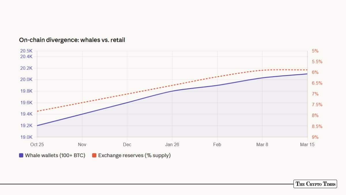 On-chain Divergence Whales vs Retail