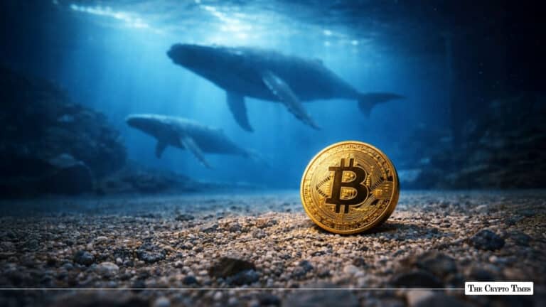 Perfectly DCA’ing Bitcoin Whale Quietly Amasses 2,656 BTC in 8-Day Spree