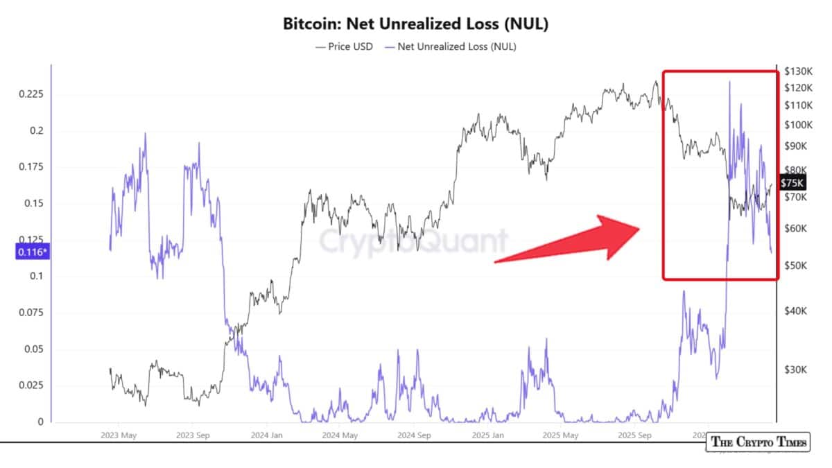Bitcoin Unrealized Losses Highlight Pain But History Suggests Upside