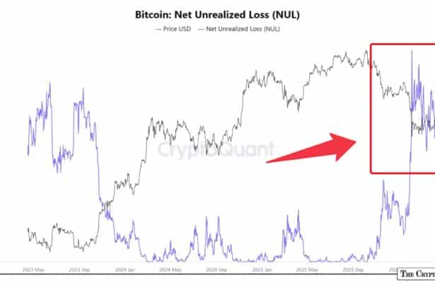 Bitcoin Unrealized Losses Highlight Pain But History Suggests Upside