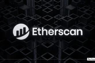 Etherscan Unveils Beta Token Holders Overview for ERC-20 Tokens