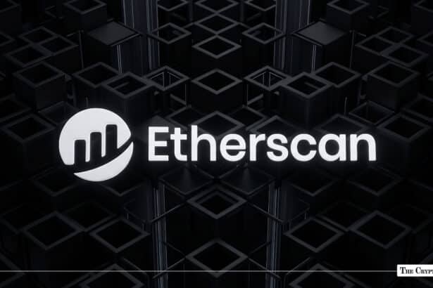 Etherscan Unveils Beta Token Holders Overview for ERC-20 Tokens