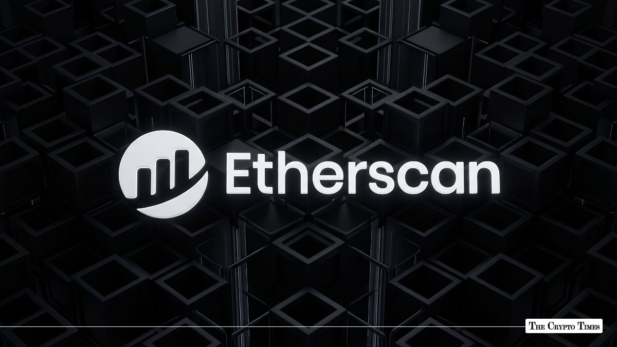 Etherscan Unveils Beta Token Holders Overview for ERC-20 Tokens