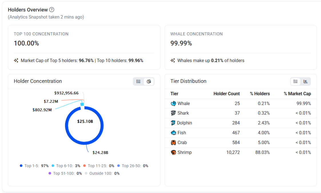 Rave Token Holders Overview, Source: Etherscan
