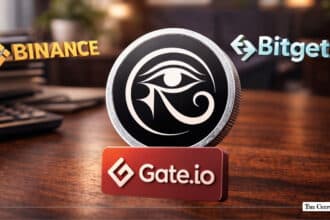 RaveDao Token 6000% Rally 5 Mistakes of Traders on Binance, Bitget and Gate