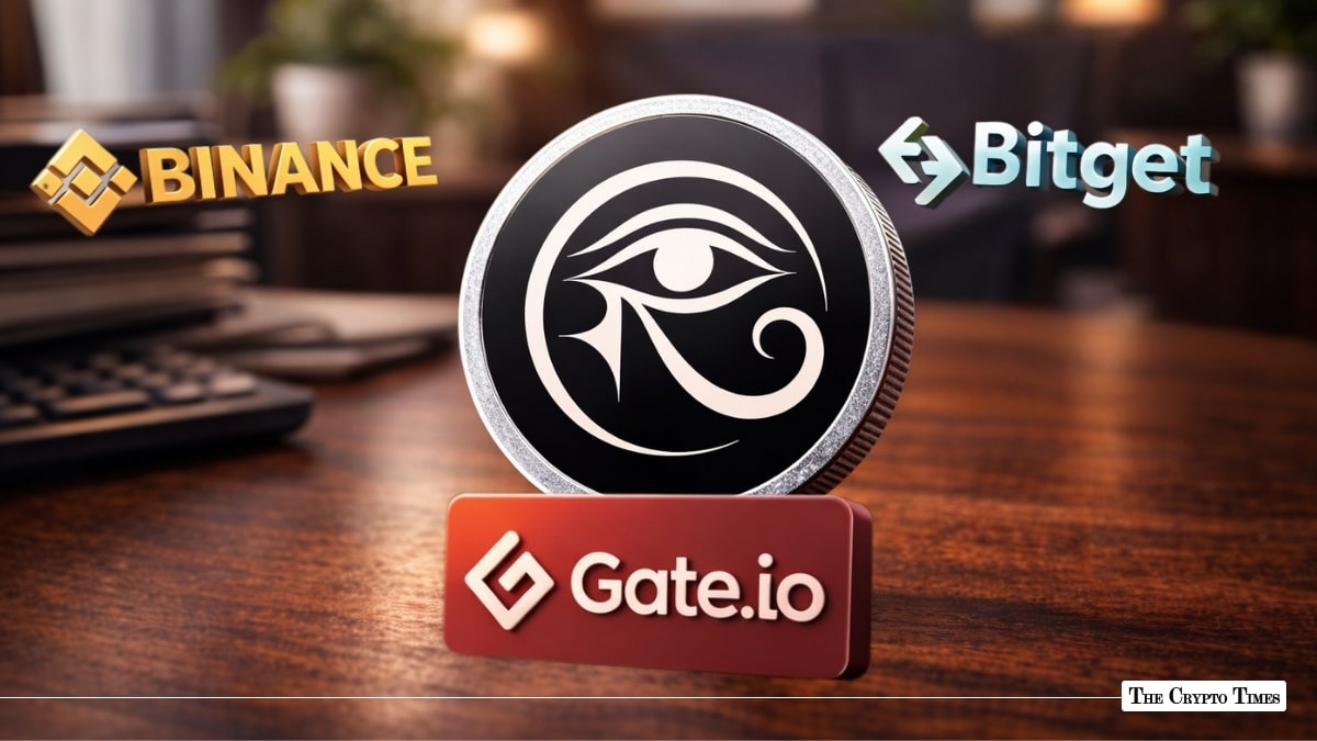 RaveDao Token 6000% Rally 5 Mistakes of Traders on Binance, Bitget and Gate