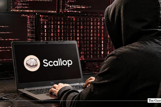 Scallop Loses $142K in Flash Loan Attack on Deprecated Contract