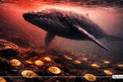Whales Snapped Up Record 270,000 Bitcoin in One Month: Bottom Found?
