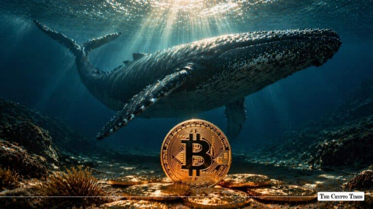 Whales Snapped Up Record 270,000 Bitcoin in One Month Bottom Found