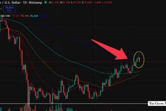 Bitcoin Profit Signal Flashes as BTC Pulls Back From $81.7K