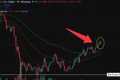 Bitcoin Profit Signal Flashes as BTC Pulls Back From $81.7K